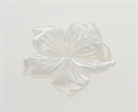 Perlemor blomst 14 mm Hvid